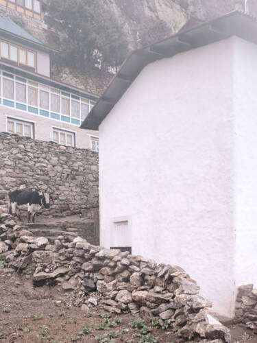 100 NEPAL THAME MONKS RESIDENCE Simone Bossi 117