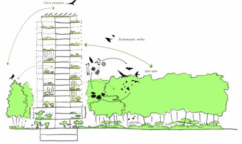 230130 sketch Park Tower greenbiodiversity